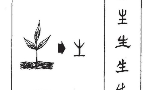 防风白术作用与功效与作用禁忌-防风白术作用与功效与作用网—知名的防风白术图片大全大图网站,分享防风白术图片大全大图知识